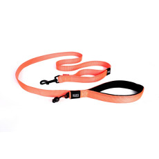 EZYDOG Soft Trainer Leash Orange Color 超軟外出訓練繩 (橙色)  25mm X183cm